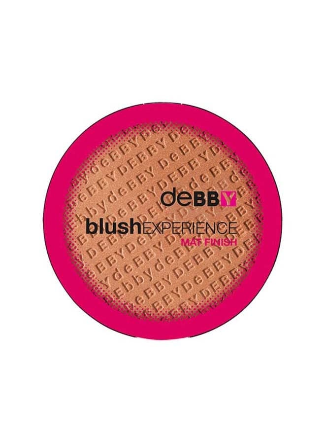 Silk Touch Matte Blush 06 - Radiant Finish - Image 1