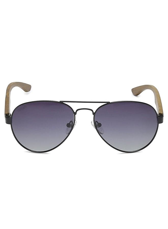 TITAN Aviator Sunglasses – A Classic Reimagined - Image 1