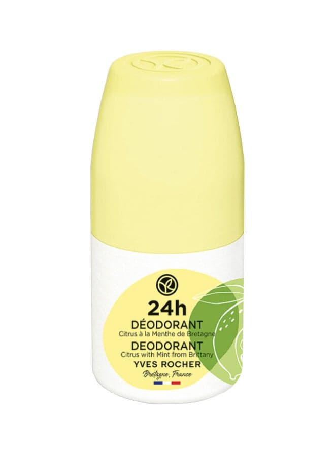 Citrus & Mint Freshness 24H Natural Deo Roll-On - Image 1