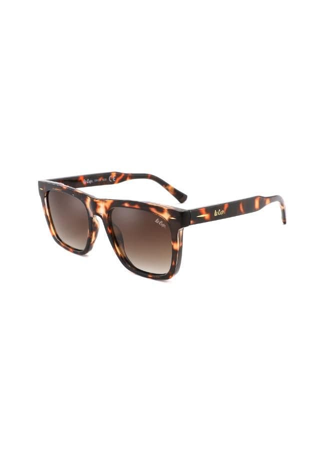 Lee Cooper LC1021C02 Polarized Demi Sunglasses in Brown - Image 1