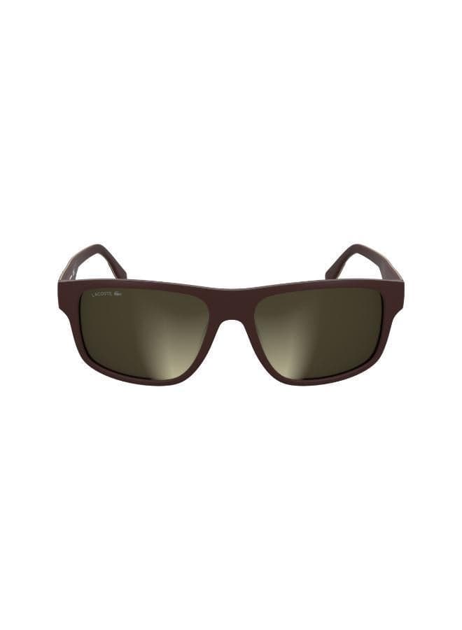 LACOSTE Men's Modified Rectangle Sunglasses - Image 1
