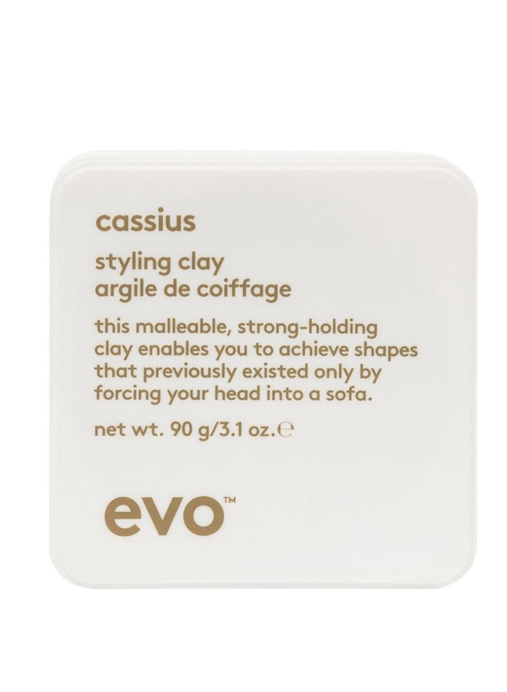 Evo Cassius 90g – Premium Matte Styling Clay - Image 1