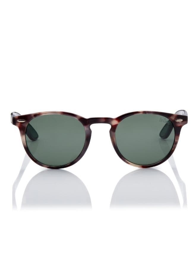 Lee Cooper LC1216C03 Chic Tortoise Polarized Sunglasses for Women - Image 1