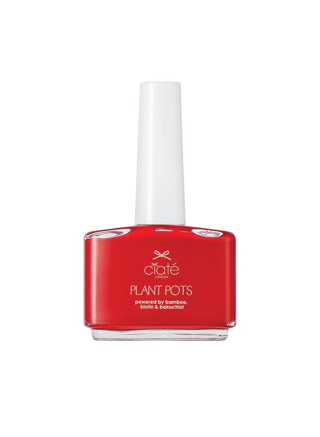 Ciate Plant Pots Snatch - Exquisite Nail Art Elegance - Image 1