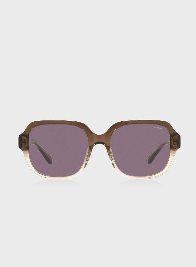 COACH 0Hc8335U Elegant Oversized Women's Sunglasses - Image 1