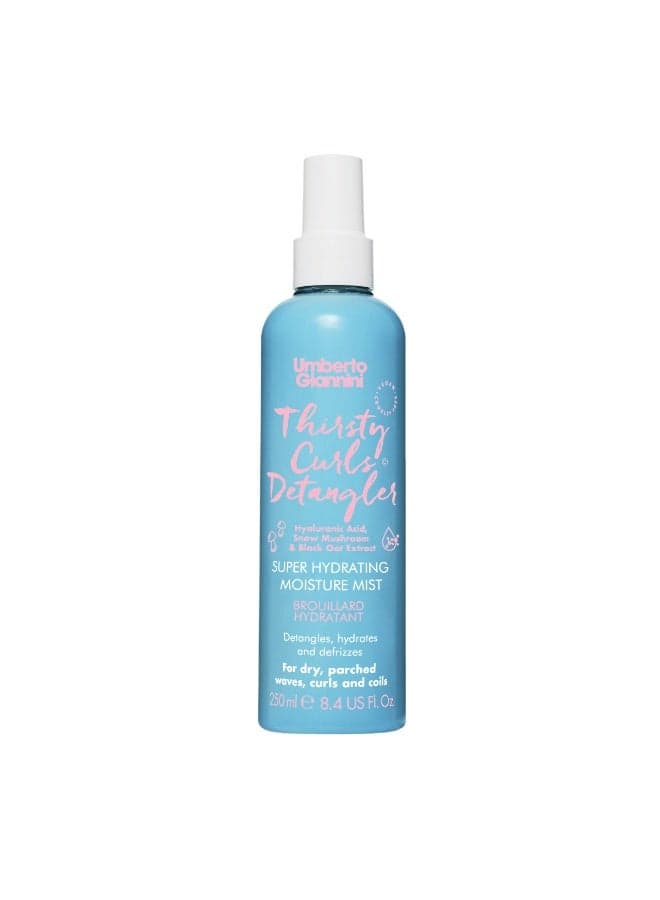 Umberto Giannini Thirsty Curls Detangler 250ml - Luxurious Hydration - Image 1