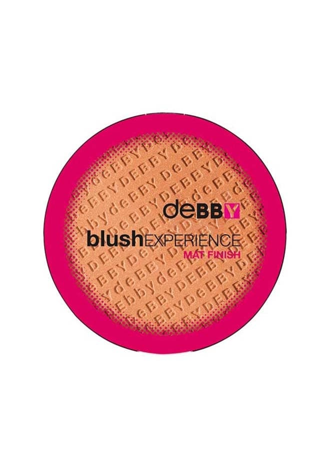 Silky Mat Blush Finish 05 – Velvety Perfection - Image 1