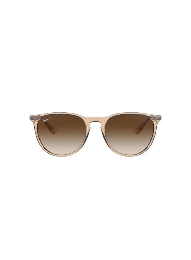 Ray-Ban 0Rb4171 Elegance Aviator Sunglasses for Women - Image 1