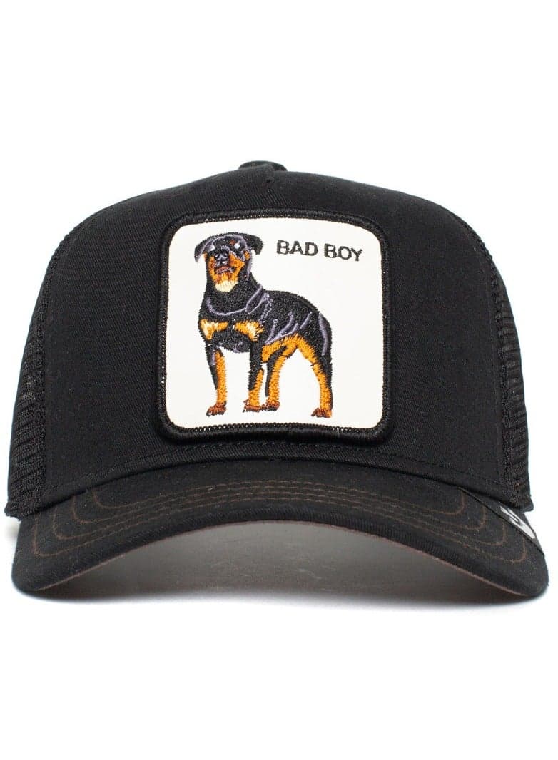 Goorin Bros. KIDS Naughty Pup Black Hat for Men - Image 1