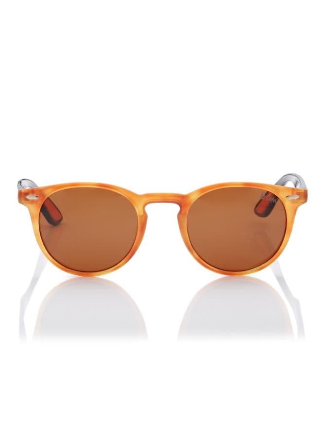 Lee Cooper LC1216C02 Elegant Brown Tortoise Sunglasses for Women - Image 1