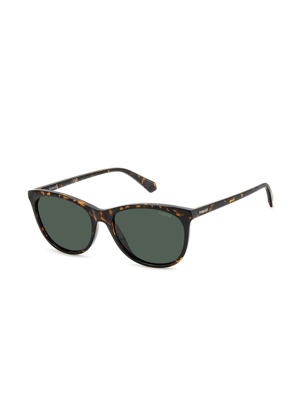 Polaroid PLD 4161/S Chic Wayfarer Sunglasses for Women - Image 1