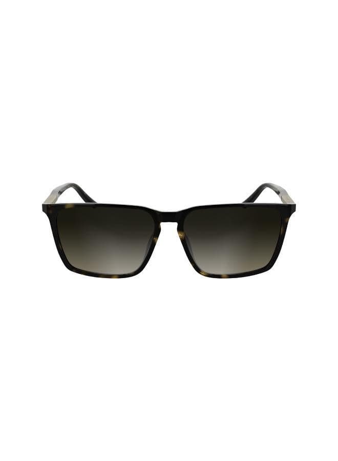 CALVIN KLEIN Eco-Friendly Resin Rectangle Sunglasses for Men - Image 1