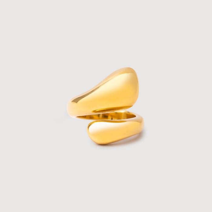 Noya 18K Gold-Plated Margaret Fusion Ring for Women - Image 1