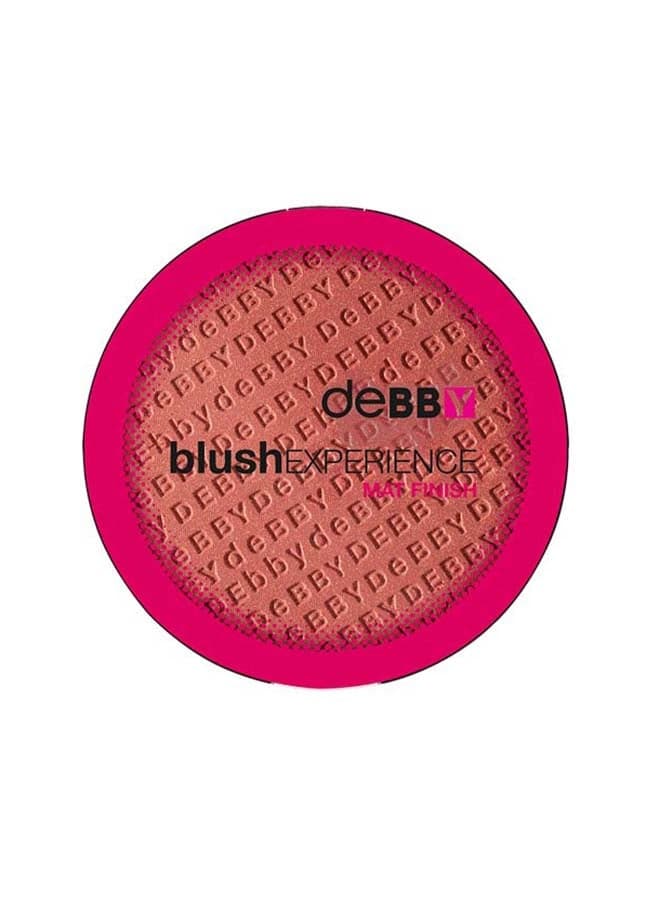 Silken Touch Matte Blush 04 - Radiant Finish - Image 1
