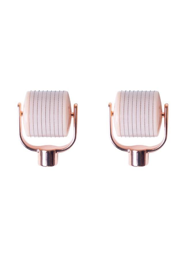 Aceology Twin Pack: 540-Needle Microneedling Heads - Image 1