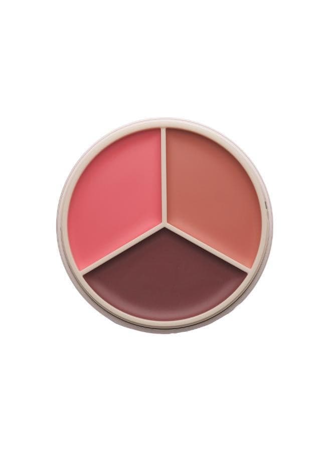 Anastasia Beverly Hills - Abh01 34856 Magic Touch Blush Trio - Image 1