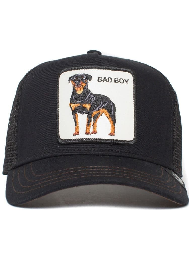 Goorin Bros. Elegance: 'The Dog' Handcrafted Hat - Image 1