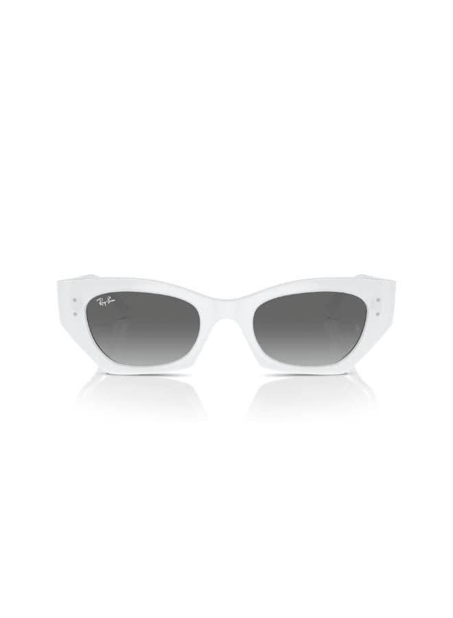 Ray-Ban 0Rb4430 Cateye Men’s Sunglasses - Elegance Redefined - Image 1
