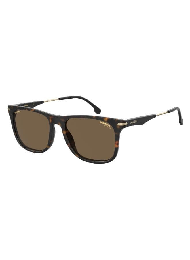 Carrera Wayfarers: Timeless Elegance in Sunglasses for Men - Image 1