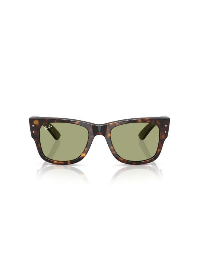 Ray-Ban Havana Mega Wayfarer Sunglasses – A Bold Choice - Image 1