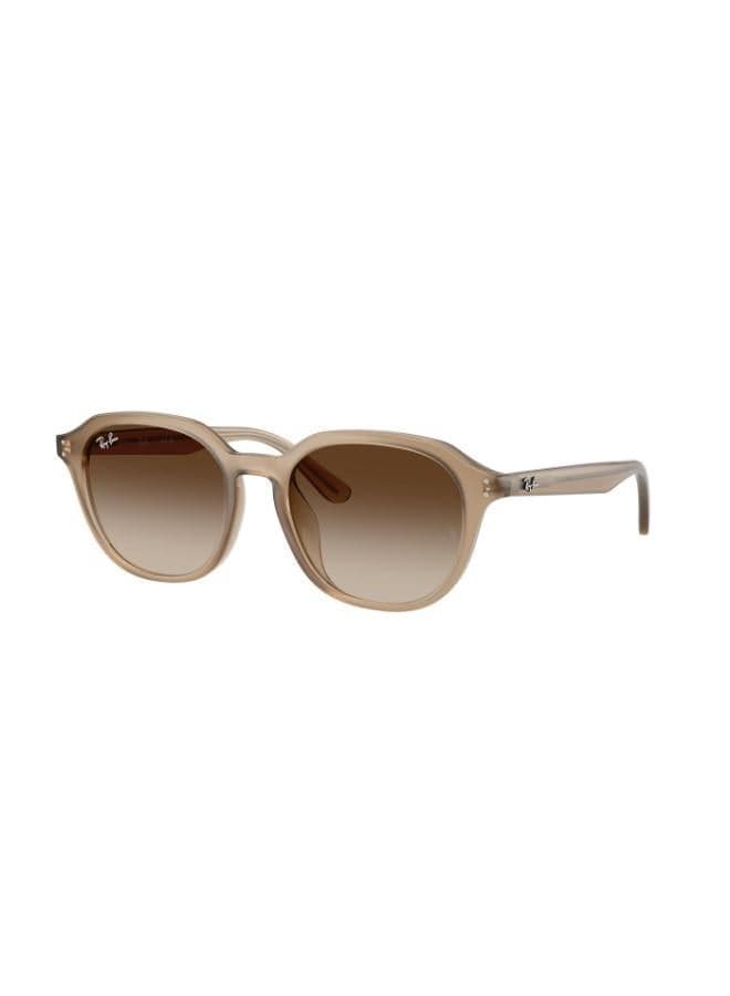Ray-Ban 0Rb4459D Men's Square Turtledove Sunglasses - Image 1