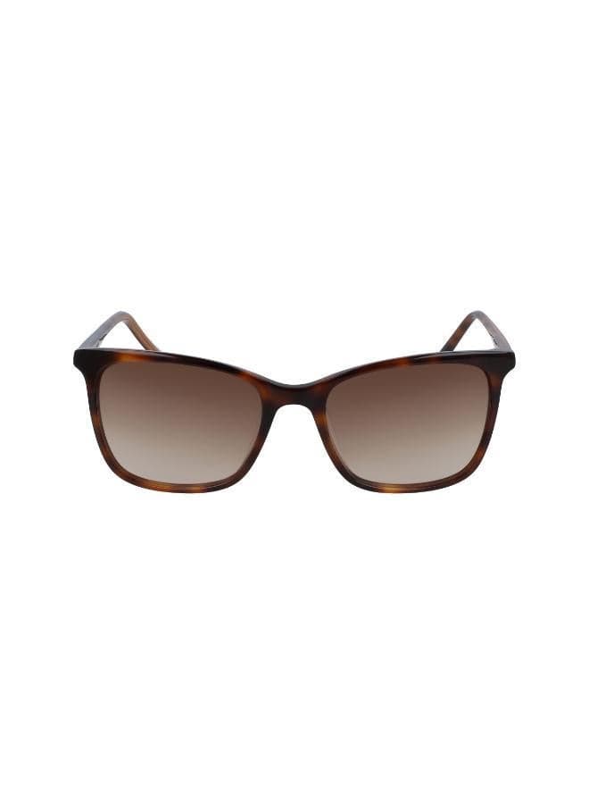 DKNY DK500S Urban Chic Square Sunglasses for Women - Image 1