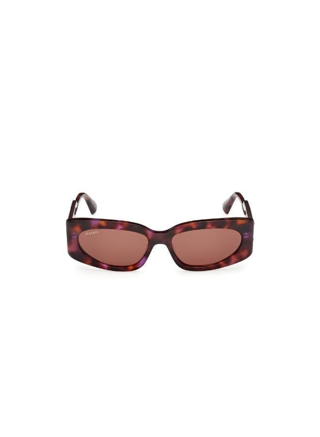MAXCO Wayfarers: Chic Sunglass Essentials for Women - Image 1