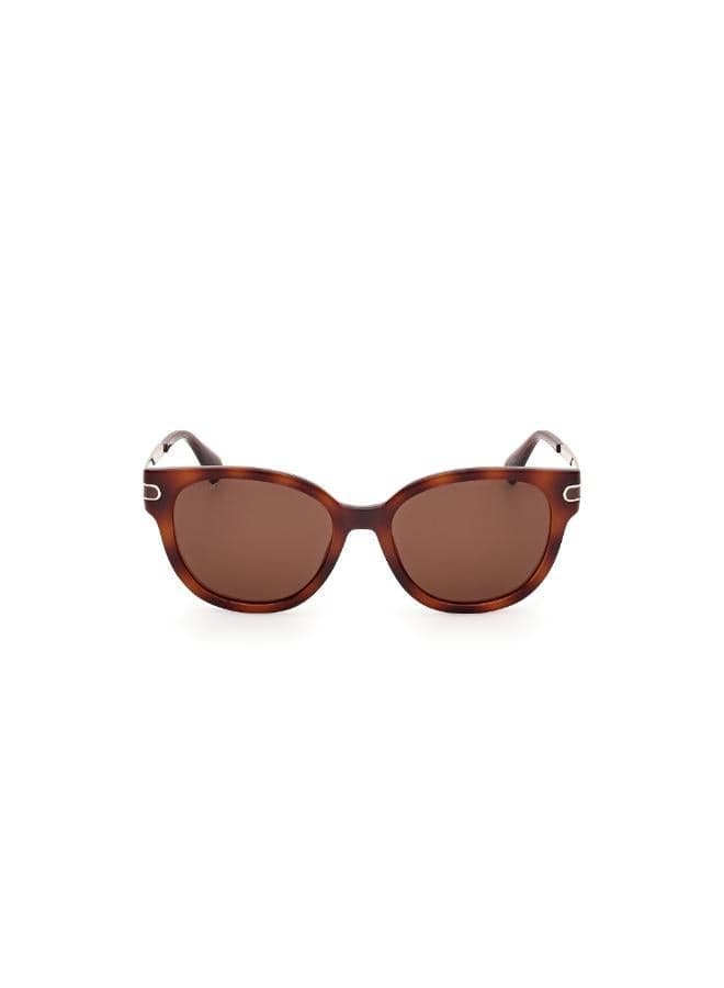 MAXCO Injected Chic Sunglasses – Elegance Meets Comfort - Image 1