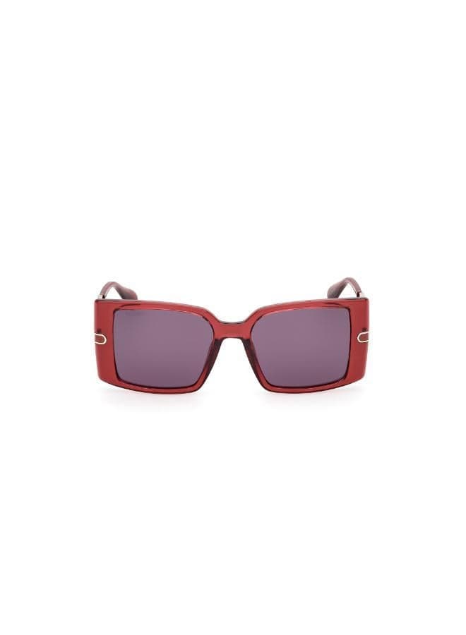 MAXCO Injected Chic Shaped Sunglasses for Women - Image 1