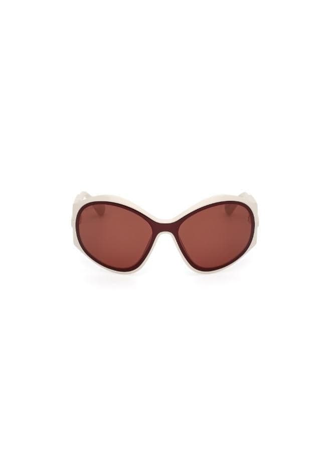 MAXCO Chic Injected Sunglasses - UV Protection - Image 1