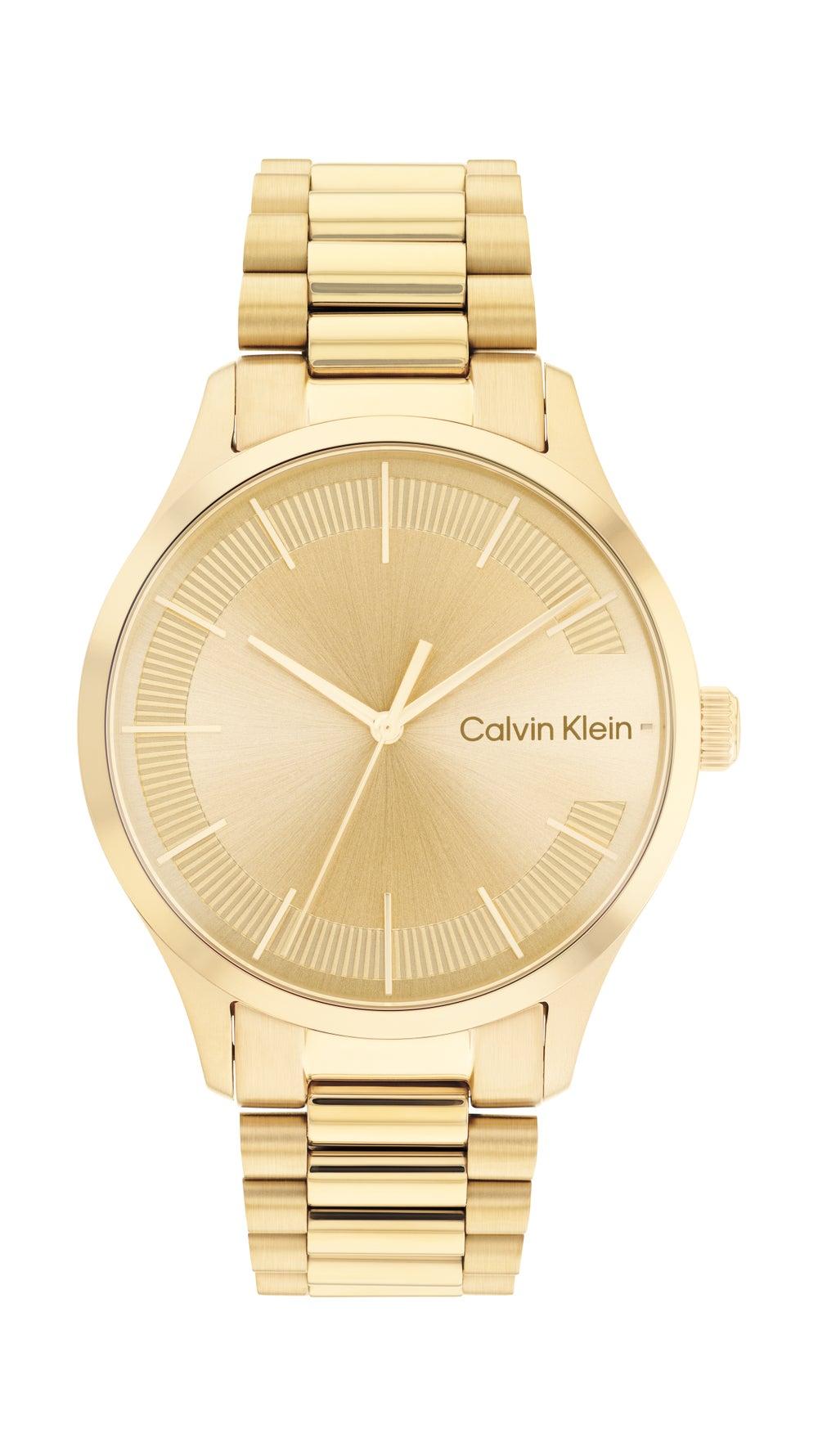 CALVIN KLEIN Elegance Mesh Strap Analog Timepiece - Image 1