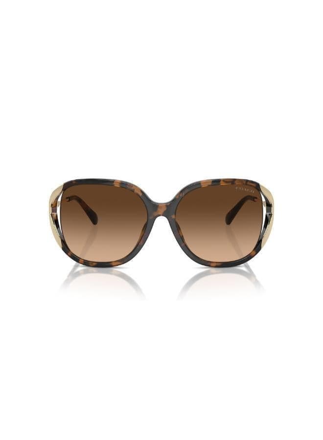 COACH Women's Square Sunglasses - Timeless Elegance - Image 1