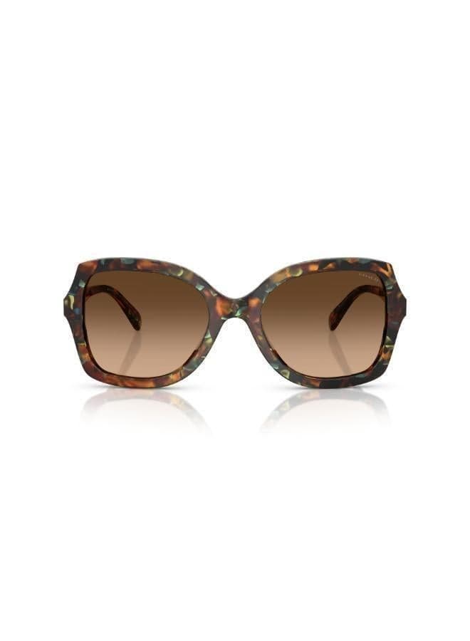 COACH 0Hc8410U Chic Oversized Women's Sunglasses - Image 1