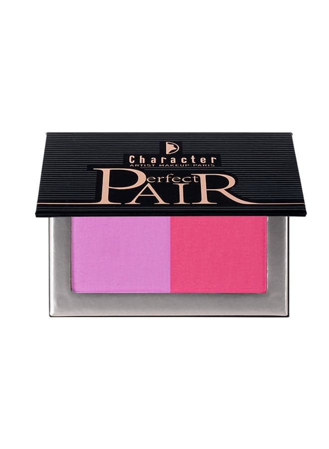 Silky Radiance 2-Color Blush Duo - Image 1
