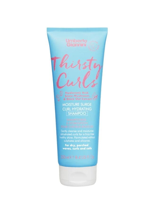Hydrating Thirsty Curls Shampoo 250ml - Frizz-Free Shine - Image 1