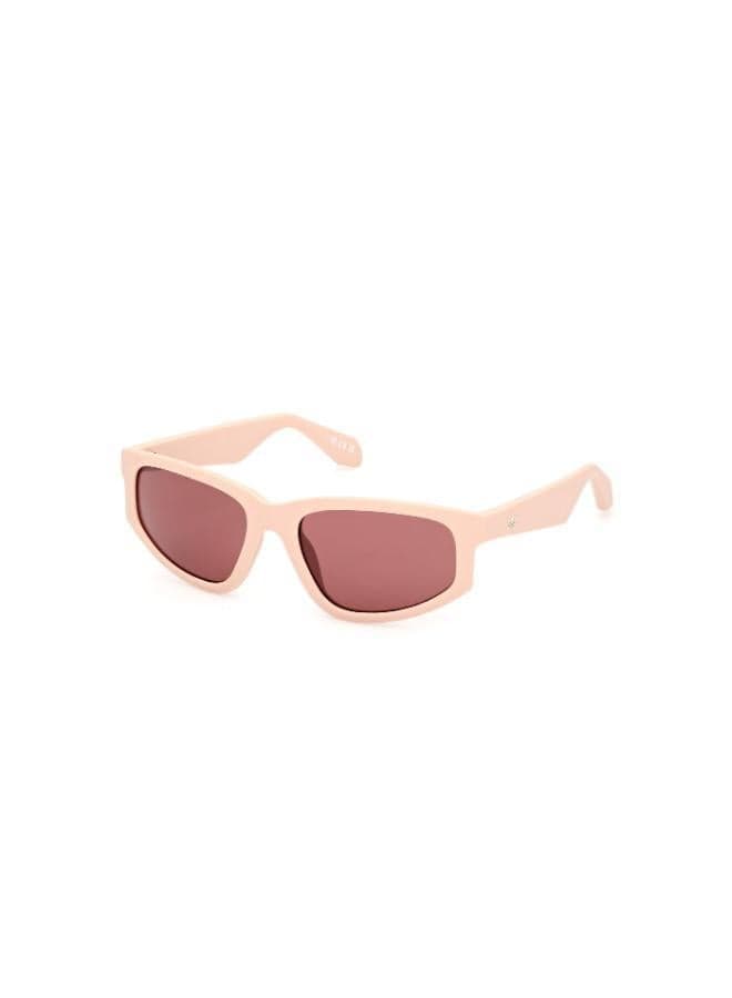 Adidas OR010773S55 Matte Pink Wayfarer Sunglasses - Image 1