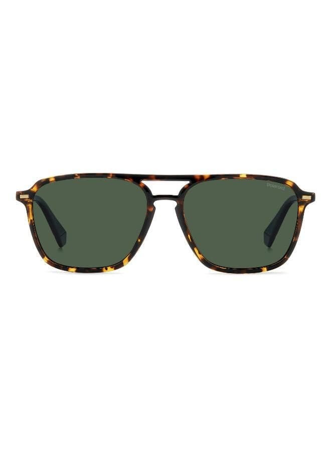 PLD 4182/S/X Rectangular Polarized Sunglasses - Image 1