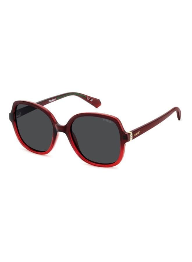 PLD 4177/S/X Square Polarized Sunglasses - Image 1