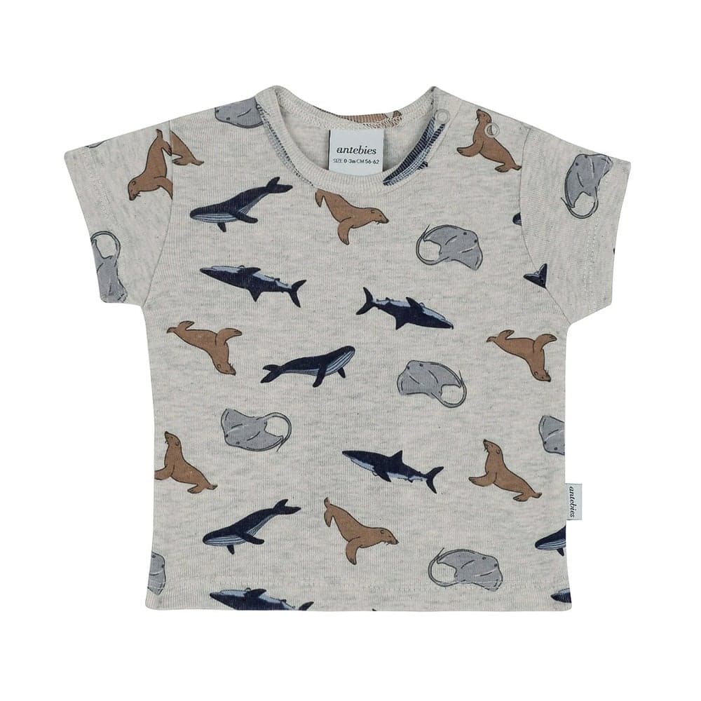 Fish & Fun Print Organic Cotton Baby T-Shirt - Image 1