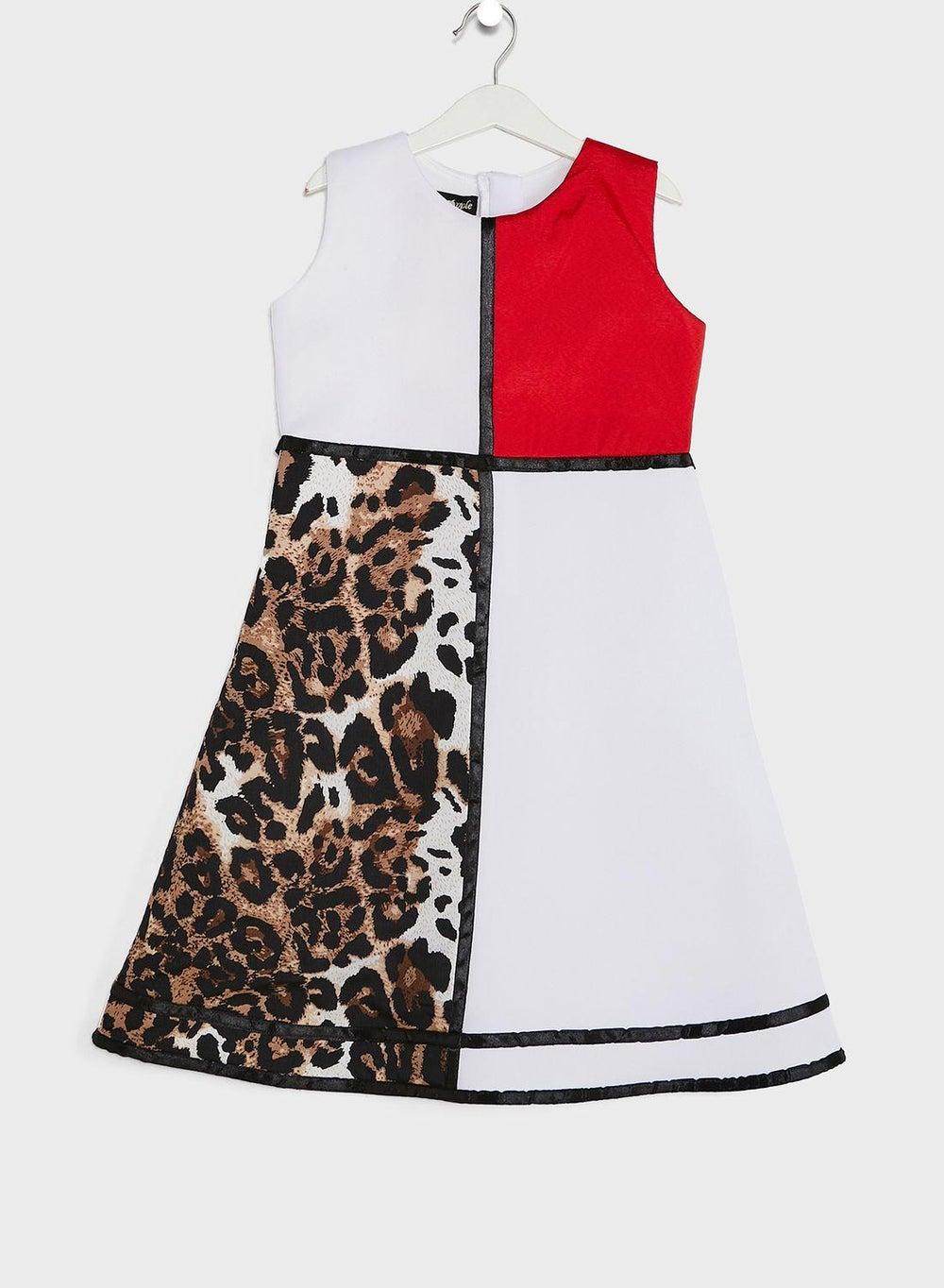 Colorblock Leopard A-Line Midi Dress - Image 1