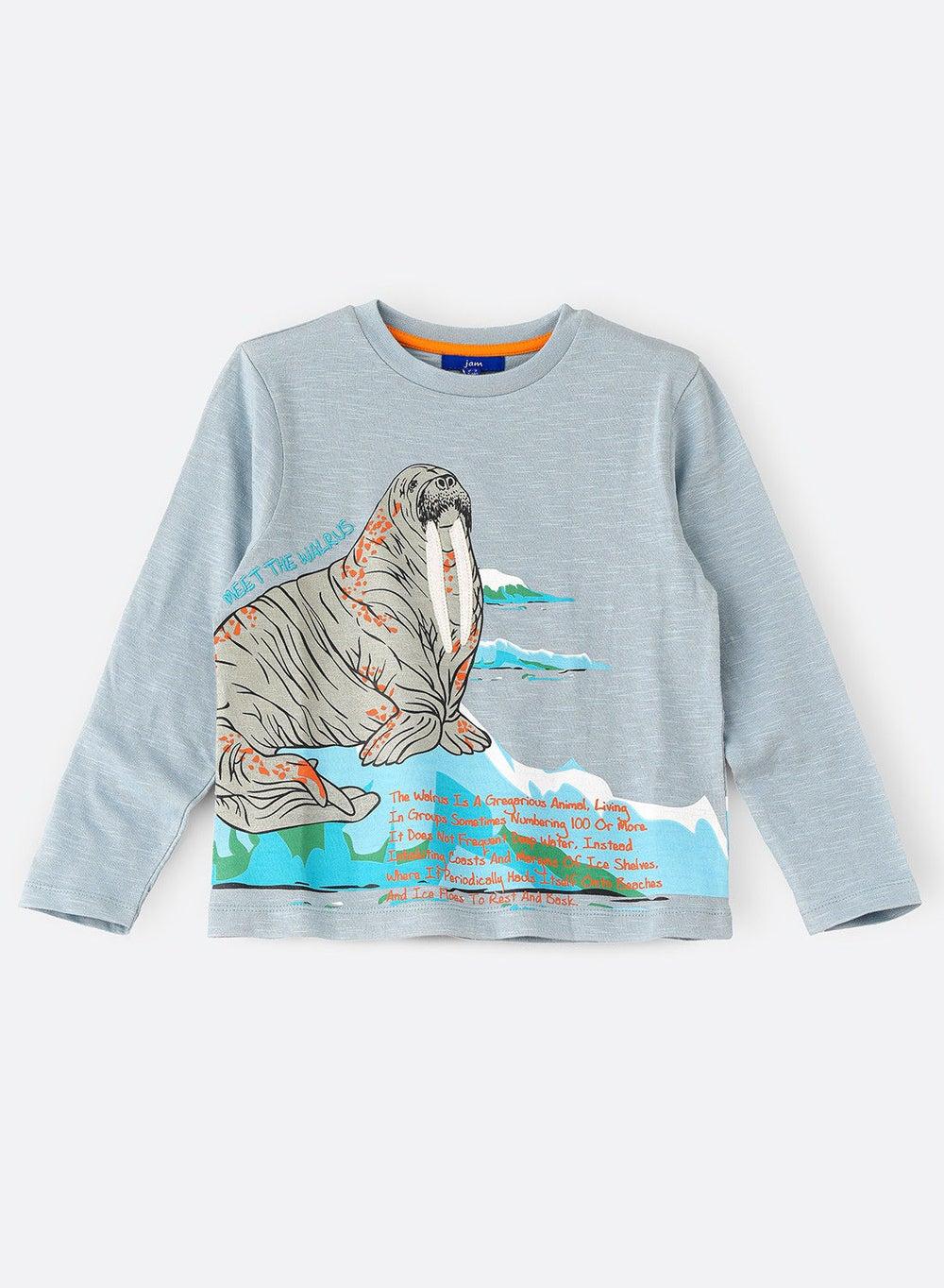 Boys Multicolour Printed Knit T-Shirt Arkttdb W207 - Image 1