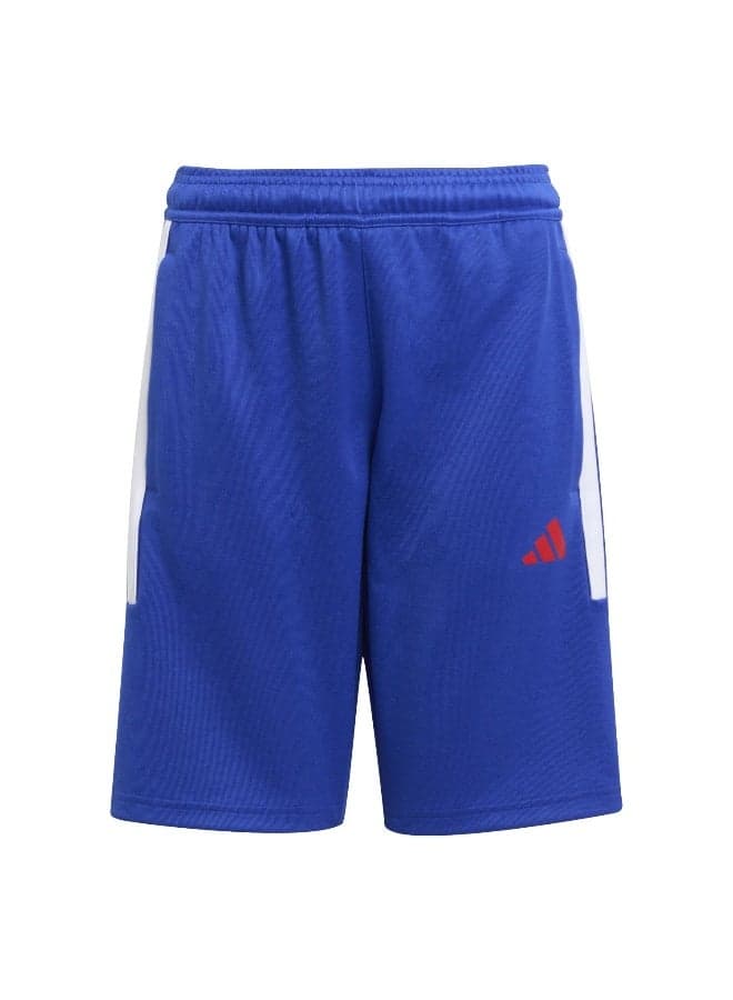 House Of Tiro Juniors Training Shorts - Image 1