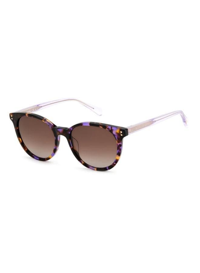Cat Eye Sunglasses Frames for Women - Image 1