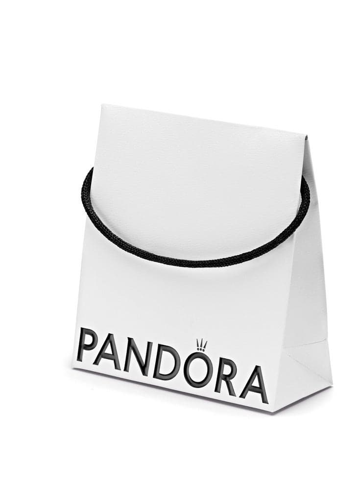 Small Gift Bag for Everyday Carry and Gifting - Image 1