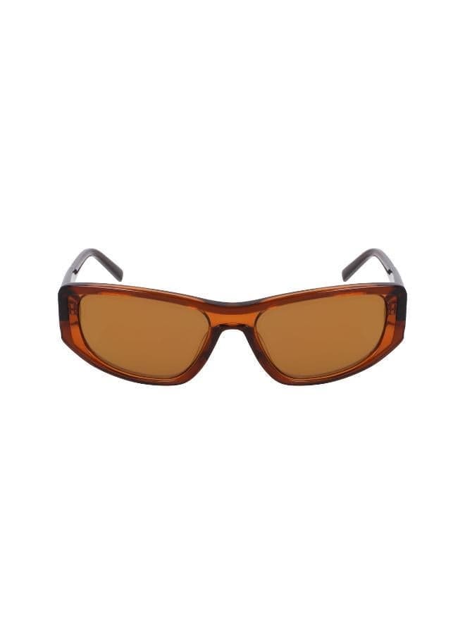 Oval Sunglasses for a Soft, Modern Look - Image 1