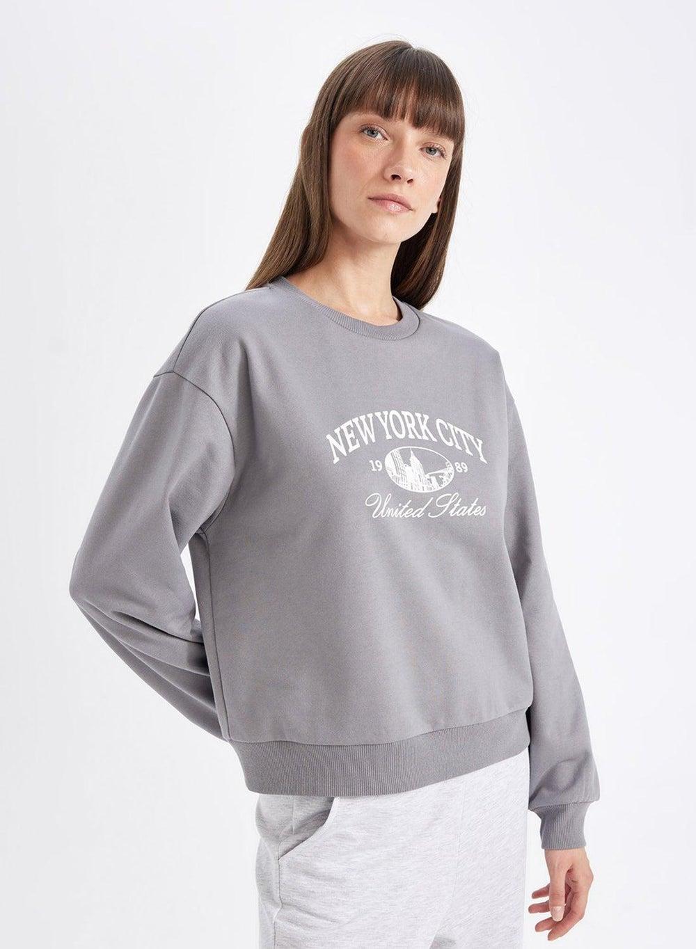 Grey Regular Fit Printed Lightweight Crew Neck Sweatshirt - Image 1