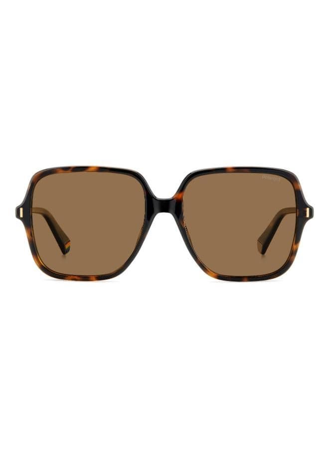 Square Sunglasses Frames for Women - Image 1