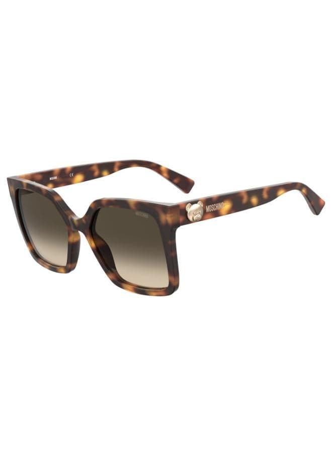 Square Sunglasses Frames for Women - Image 1