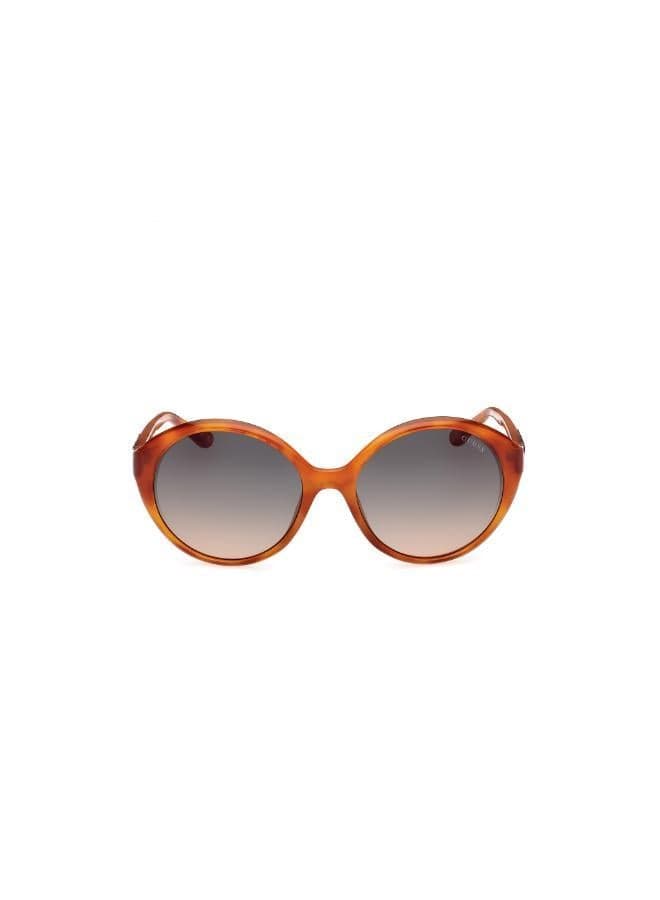 Oval Sunglasses with Retro Curved Silhouette - Image 1