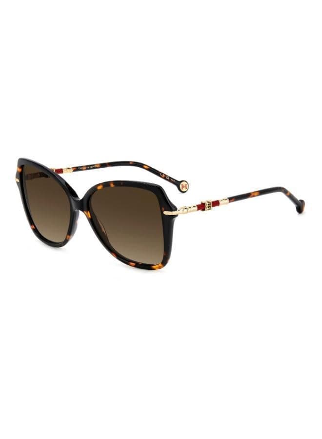 Butterfly Sunglasses Frames for Women - Image 1